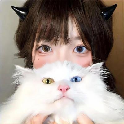 安德鲁克里斯和狮子